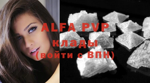 ECSTASY Надым