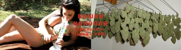 ECSTASY Надым