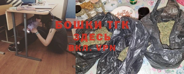 сатива Беслан