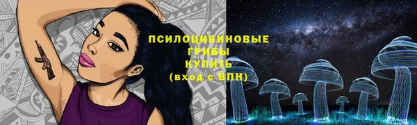 мдпв Билибино