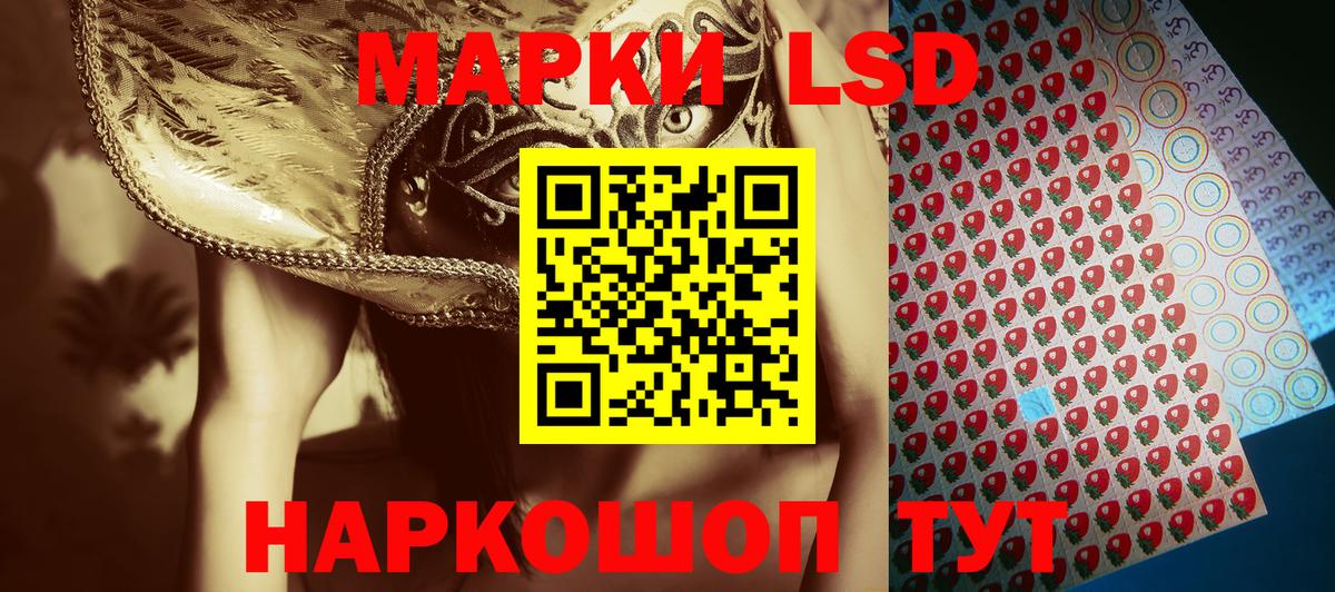 Наркотические марки  Марки N-bome 1,5мг  где найти   Петровск  Вход с VPN 