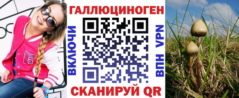 купить сайты Петровск Галлюциногенные грибы мицелий