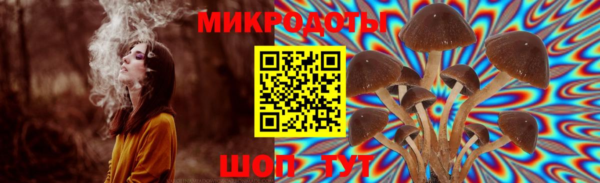 Галлюциногенные грибы ЛСД  Петровск 