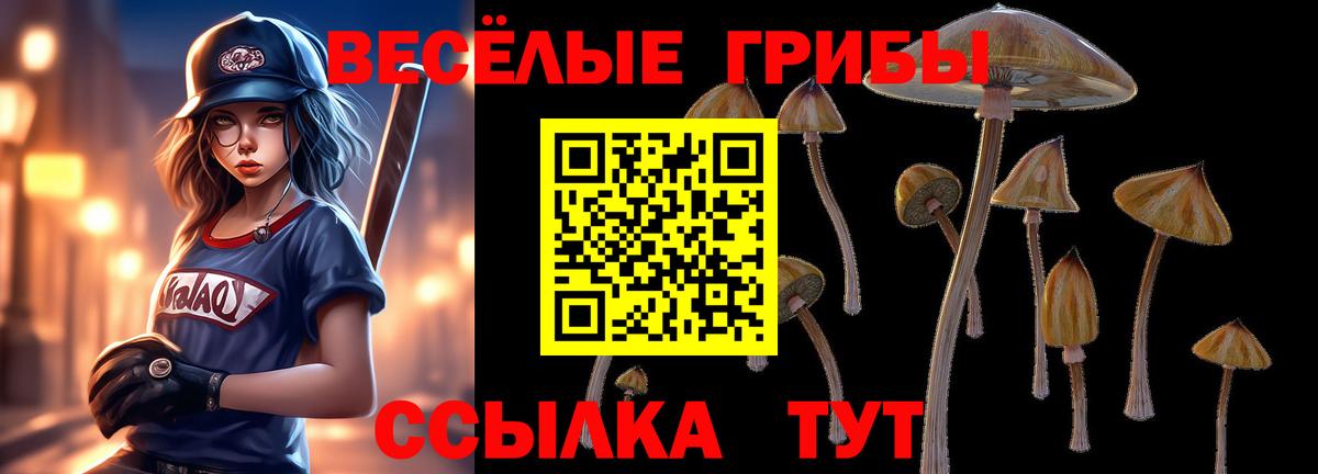 Петровск  Псилоцибиновые грибы Psilocybine cubensis  Вход с VPN  Галлюциногенные грибы мицелий 